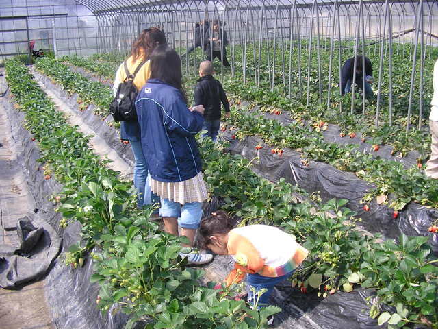 P1011496.JPG