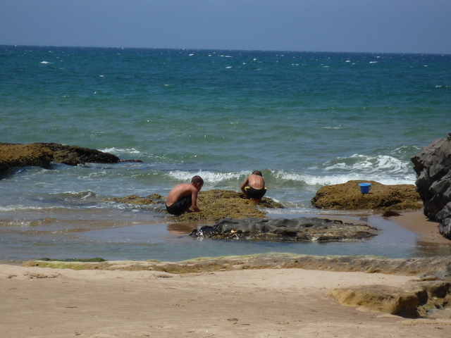 P1030207.JPG